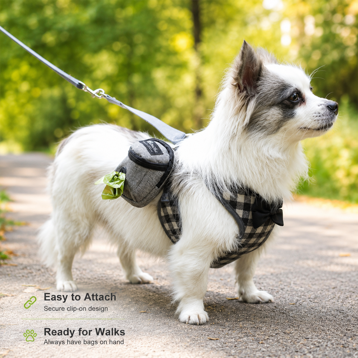 Dog Treat Pouch, Portable Training Bag